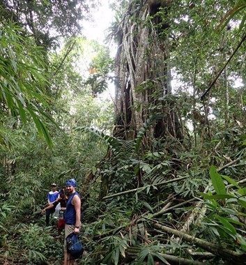 Adventure Alternative Borneo Radak Jungle Camp