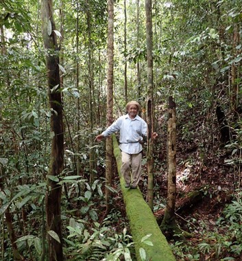 Adventure Alternative Borneo Radak Jungle Camp Tightrope