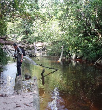 Adventure Alternative Borneo Radak Jungle River