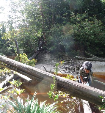 Adventure Alternative Borneo Radak Jungle River Bridge