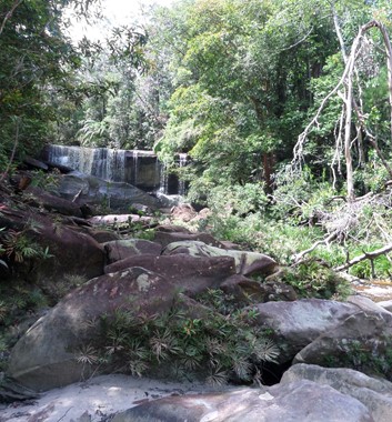 Adventure Alternative Borneo Radak Jungle Waterfalls