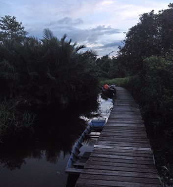 Adventure Alternative Borneo Tuba river walkway