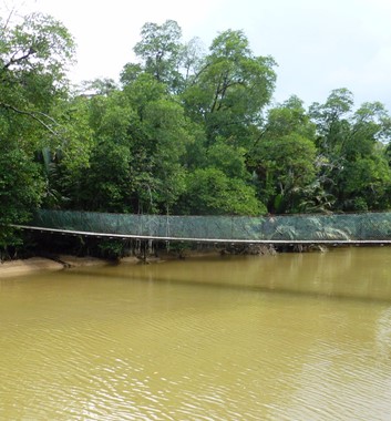 Adventure Alternative Borneo Sabah River Bridge
