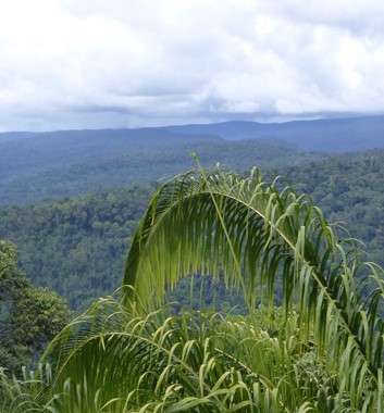 Adventure Alternative Borneo Sabah View