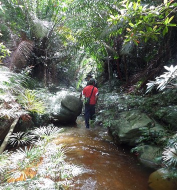 Adventure Alternative Borneo Radak Jungle