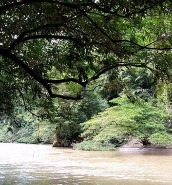 Adventure Alternative Borneo Sabah Sapulot River