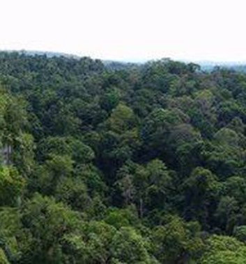 Adventure Alternative Borneo Sabah Sapulot Views